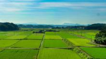 田園風景